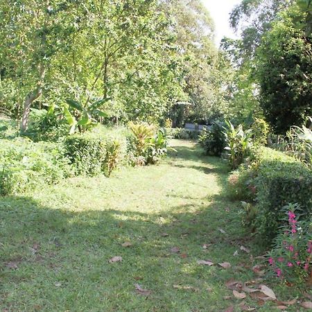 Bema Farm Villa Sao Jose Kültér fotó