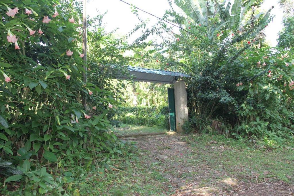 Bema Farm Villa Sao Jose Kültér fotó