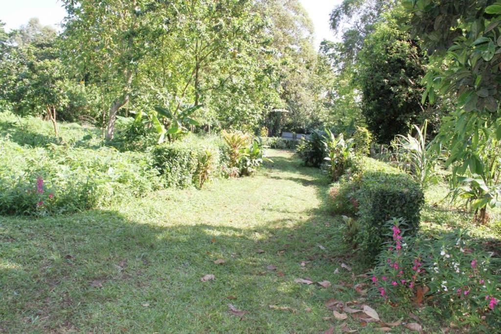 Bema Farm Villa Sao Jose Kültér fotó